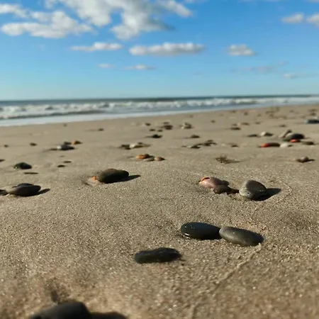 Holiday home 8 Person In