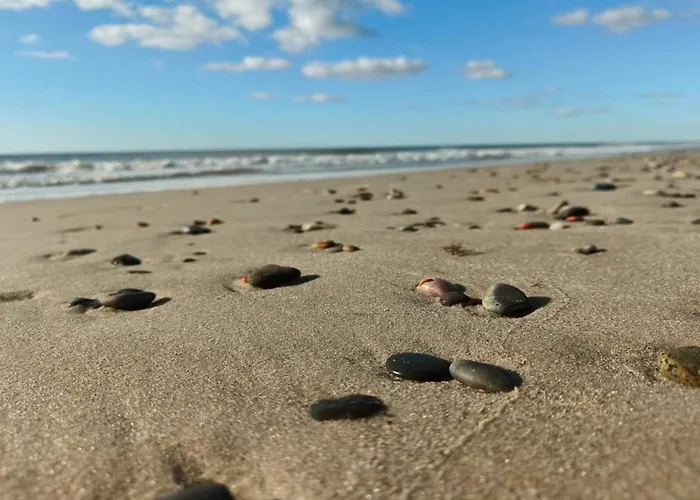 Holiday home 8 Person In