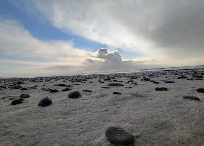 8 Person In Holiday home