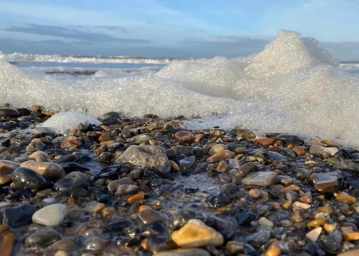 8 Person In * Norre Nebel